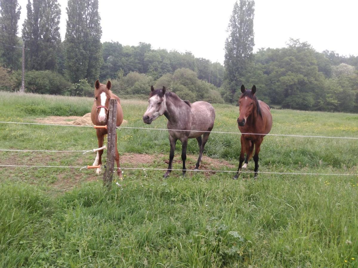 Bed & Breakfast D'hotes Gourdon-en-quercy